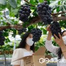 과일나라테마공원1 이미지