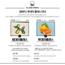 순천을 그리는 오일파스텔 | 여수이색카페데이트코스 아르떼드로잉카페
