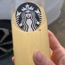 그레인 | [다이어트] 혈당 컷 다이어트 콤부차 - 체지방컷팅제 베타그레인 후기(feat.레몬자몽맛)