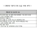 신풍타이어