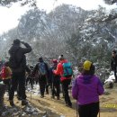 눈꽃이피다 이미지