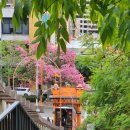 한밭카프라자 | LA 다운타운 맛집 에그슬럿 egg slut, 프랑스 빵집 pitchoun, 레스토랑 워터그릴 water grill