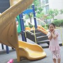 용인대 백룡 태권도 이미지