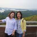 정다운투어 - 남구 삼산로143번길 24 | 정다운투어