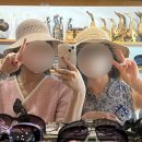 프로방스양궁장 이미지