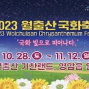 국화펜션 이미지