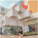 십팔번