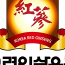 현대홍삼유통
