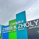 OK아시아마트 | [중앙아시아 여행-키르기스스탄 : 카자흐스탄-&gt;키르기스스탄 국경이동,케겐국경,야생낙타,카라콜 Snow...