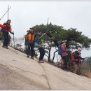 신검사
