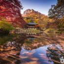 부영진영쇼핑 이미지