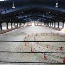 연천승마공원 이미지