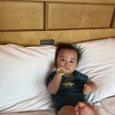 KJ목장 | [고창여행1-상하목장 파머스빌리지] 아이와갈만한곳 아이와떠나는여행 상하목장후기