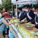 농협(부산지역본부) 이미지