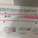 임신12주, 호산여성병원 백수진 원장님, 12주 초음파, 임신초기 졸업, 입체초음파