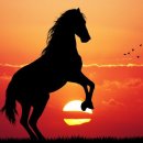 서울척척재활의학과의원 이미지