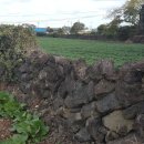 하가리집 이미지