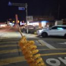 부안 변산 소노벨 노포 치킨집 파플러 치킨 후기
