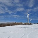 언덕목장 이미지