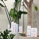 배방동물약국 | 프랑스 고급 화장품, 퓨리알리티(Pureality)✨