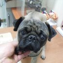 신월동019 이미지