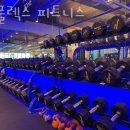 렉스할인마트 이미지