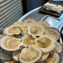 더가리비 | 하단조개구이 맛집 푸짐하게 즐기는 더가리비 솔직후기