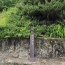 졸루정(拙陋亭) 네이버블로그