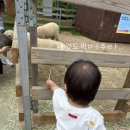 형제목장 | 홍천 비발디파크 소노벨 A :: 14개월 아기와 호캉스 키즈카페 오션월드 하늘목장 부대시설 이용 후기