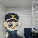 팀맥 스타짐 이미지