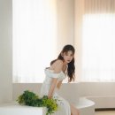 소나무스튜디오 이미지