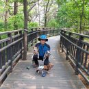 개화산 미타사 앞 이미지