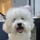 딱이네미용실 이미지