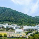 송원대학교 노컷뉴스