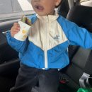 세화오일시장 | 제주 세화민속오일시장 - 진희네쑥호떡 내돈내산 후기