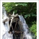 고산자연휴양림 이미지