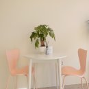 어바웃댕댕 이미지