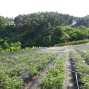 계명대태양태권도 이미지