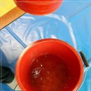 연제구-146 이미지