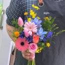 서림화
