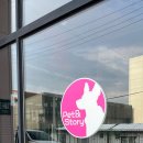 펫앤스토리 이미지