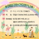 영주시치매안심센터 이미지