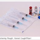 럭키켄넬 이미지