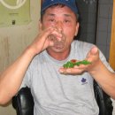 사니조아 이미지