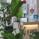 수원 밀면 찐맛집 ‘원부산밀면’ 내돈내산 후기