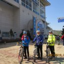 태양보룡 이미지