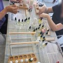 나의 MBTI에 어울리는 아로마 향수 제작 | 화성향수공방 내 성향을 향으로 담는 MBTI 향수 만들기 원데이클래스 현장 후기