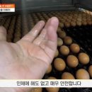 한솔유통 이미지