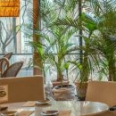 모스가든 이미지