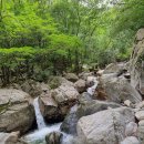 국립유명산자연휴양림 산림복합체험센터 2층 | 가평 가볼 만한 곳 유명산 자연휴양림